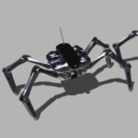 Bugs Walking Thumbnail