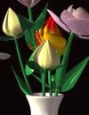 Bouquet