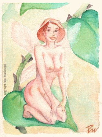 Fairy