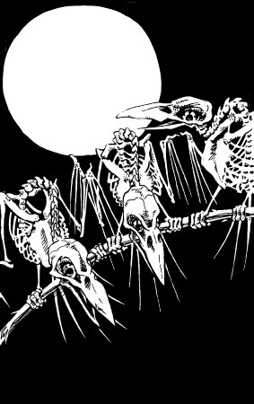 Skeleton Crows